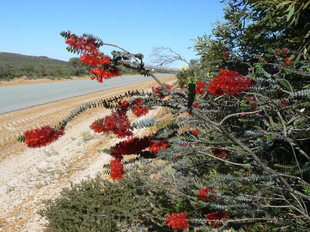 Centrebreak Beach Stay Green Head 외부 사진